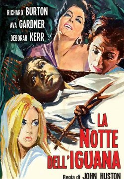 La notte dell'iguana